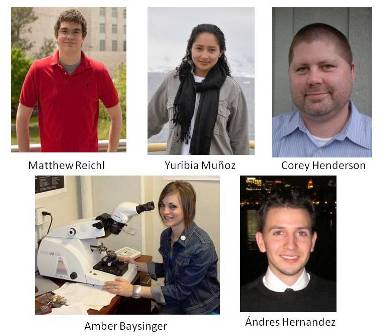 NSF student fellows collage